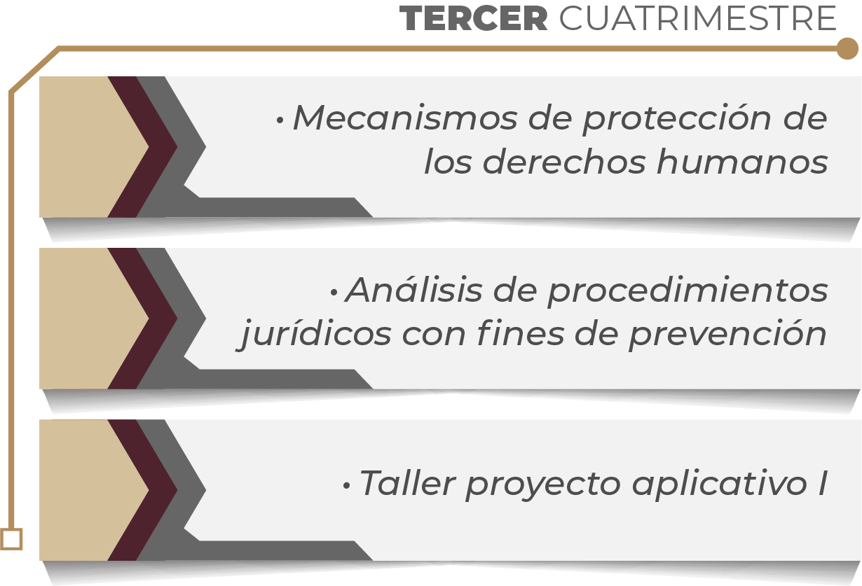 MAPA CURRICULAR GESTIÓN